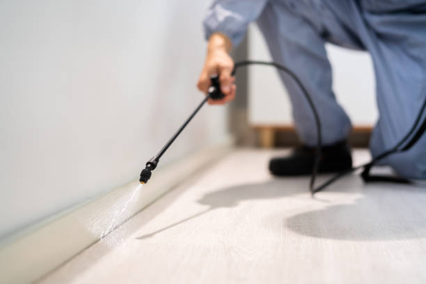 Licensed Cockroach Control service in Flora, MS - Nex Pest Control