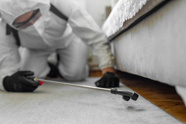Professional Cockroach Control technician working in Flora, MS