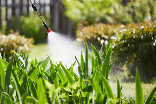 24/7 Emergency Cockroach Control experts in Flora, MS