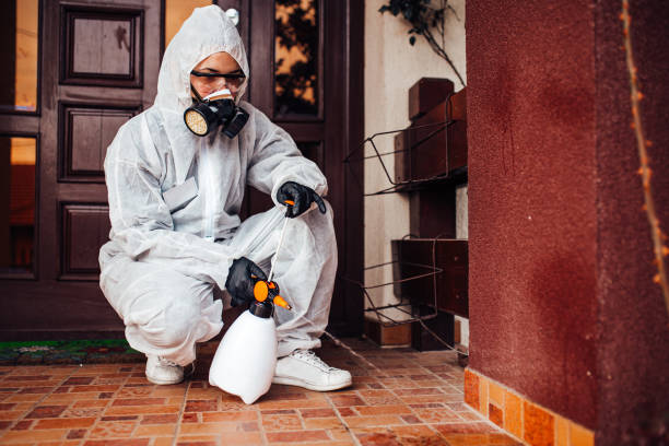Reliable Cockroach Control contractor in Flora, MS by Nex Pest Control