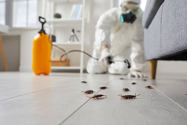 Affordable Cockroach Control solutions in Flora, MS