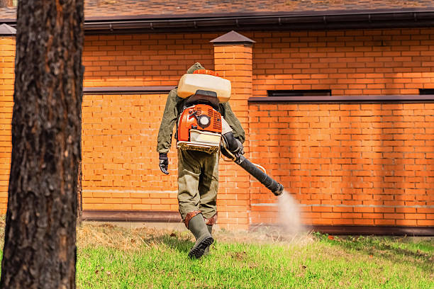 Top rated local Cockroach Control specialists in Flora, MS